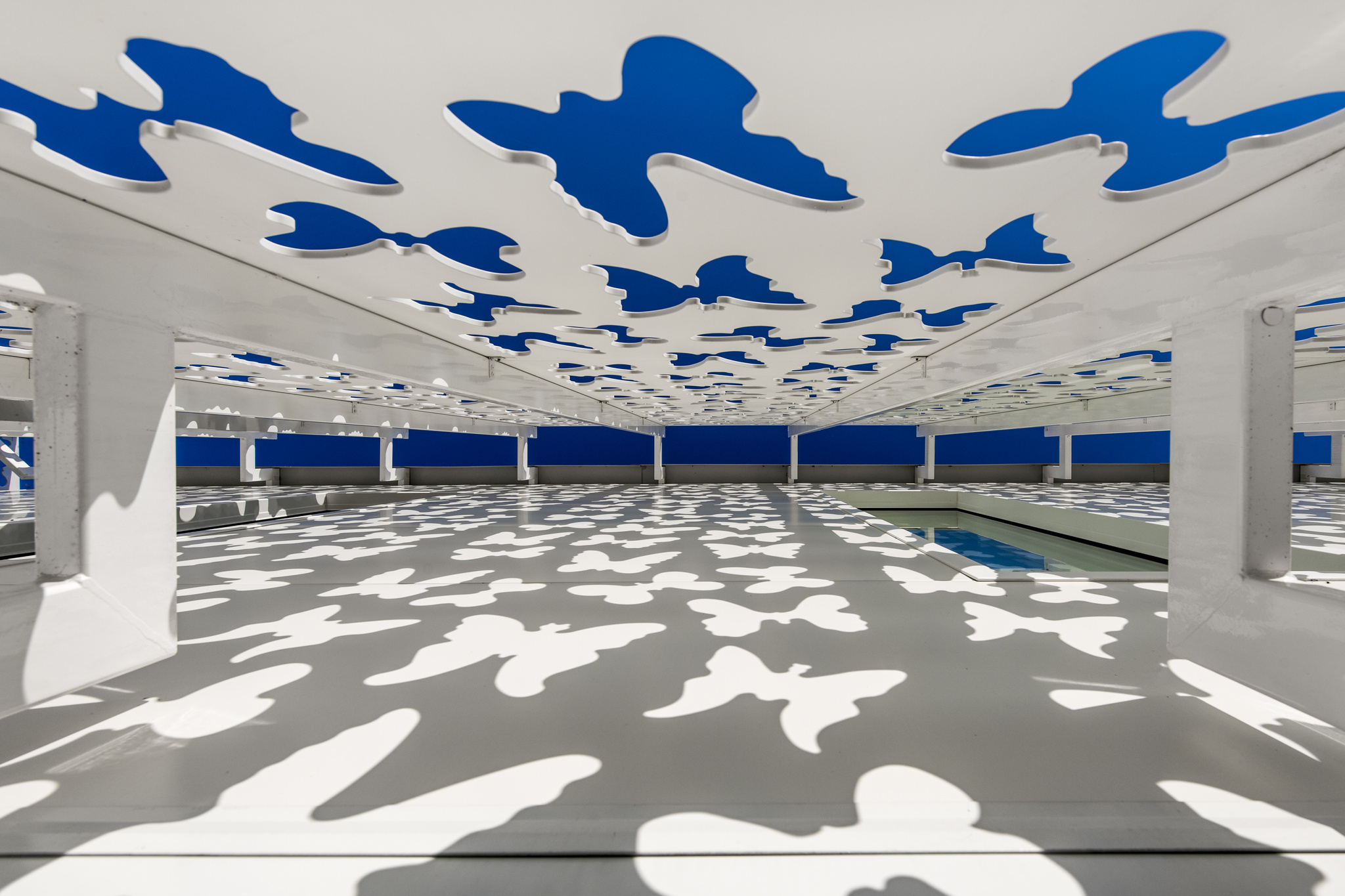 Proyecto referencia 3 — Color integral